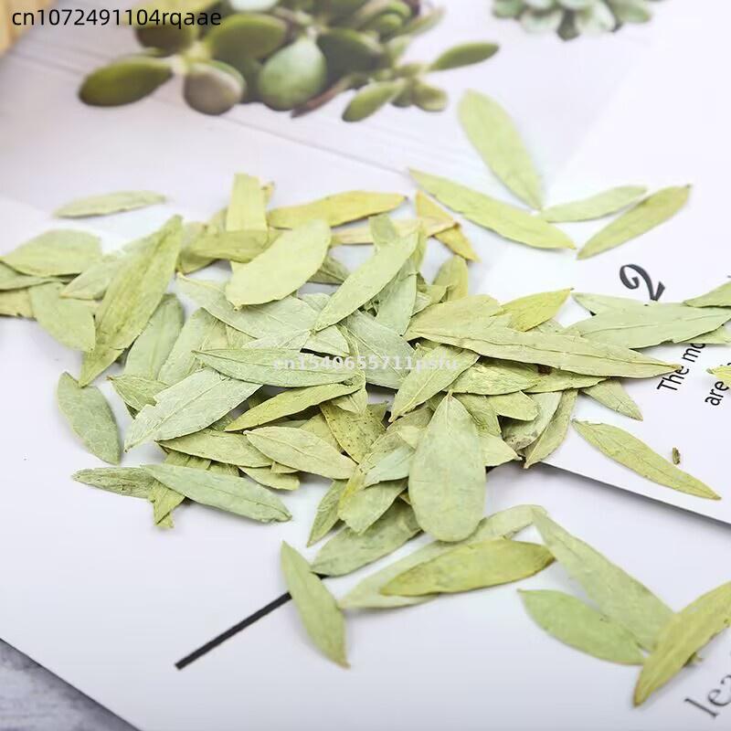 Premium Organiczne Liście i Pr – Dried Herbs recenzja i cena